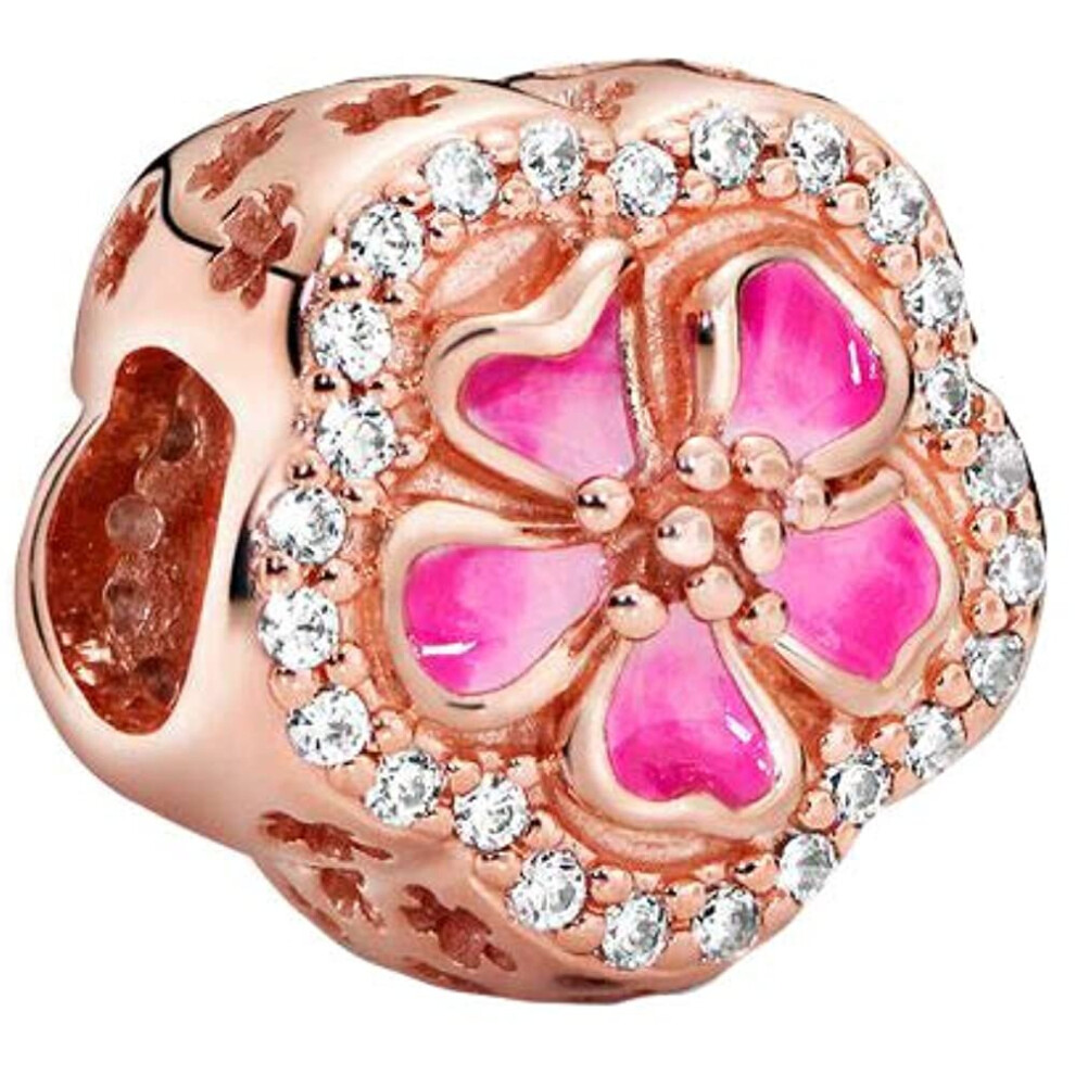 pandora-women-sterling-silver-not-applicable-brooch-788079cz-1.jpg
