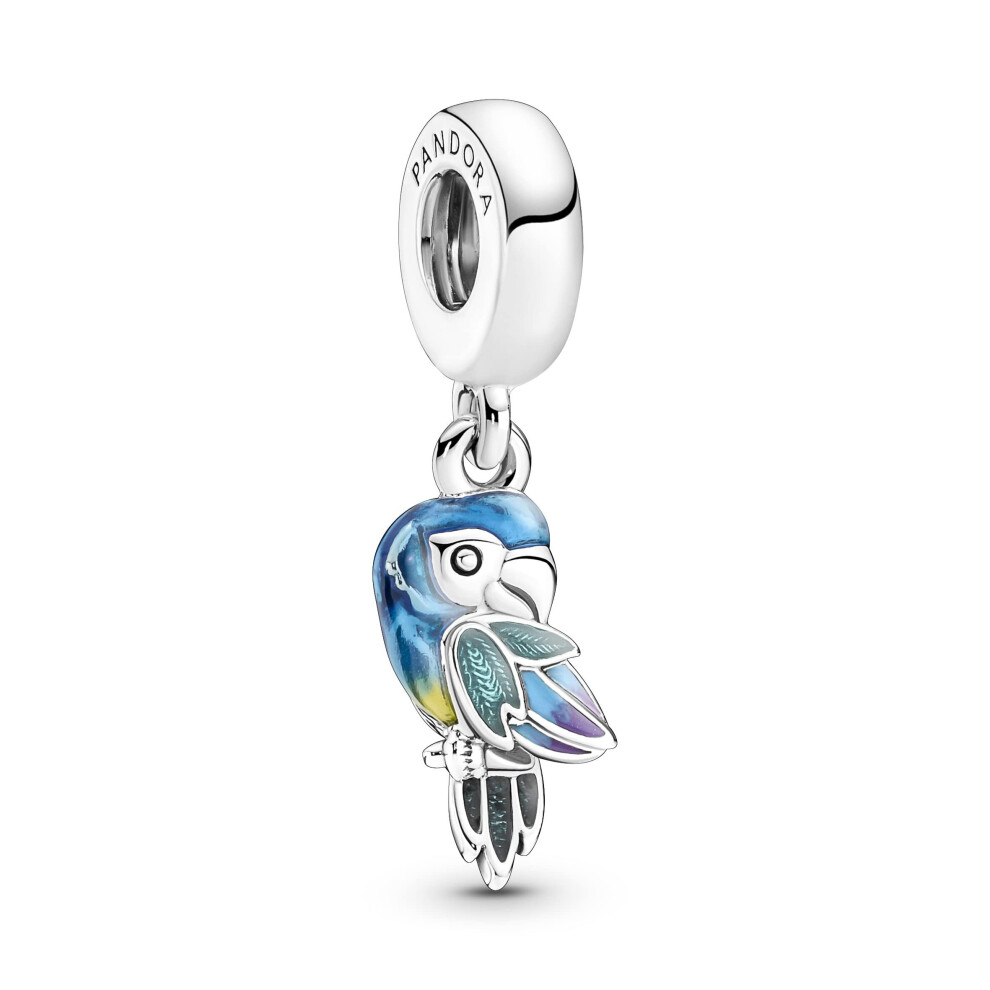 pandora-womens-charm-pendant-ref-791679c01-1.jpg